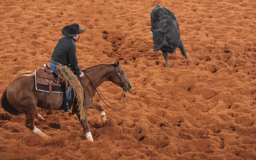 The Augusta Futurity