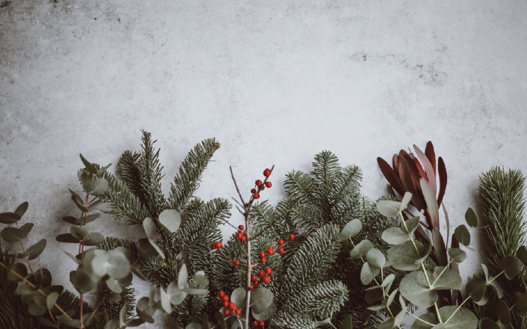 2019 Gift Guide