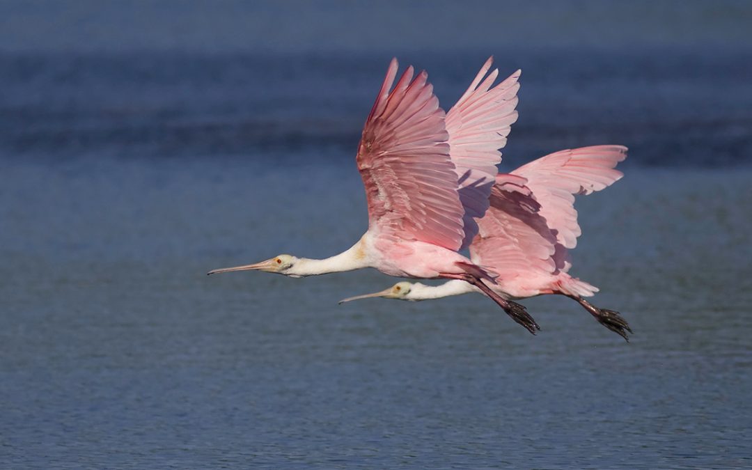 Need a Calgon moment? Escape to The Lodge at Little St. Simons Island