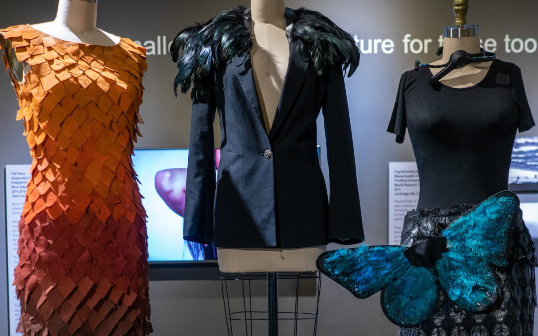 Social Issues Are in the Spotlight at the Museum of Design Atlanta