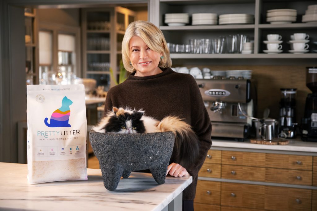 PrettyLitter: A Useful Device in Monitoring Your Cats’ Well being